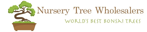 Nursery Tree Wholesalers logo