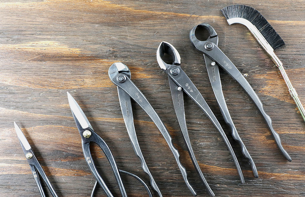 The Best Bonsai Tools & Accessories for Proper Maintenance hero image